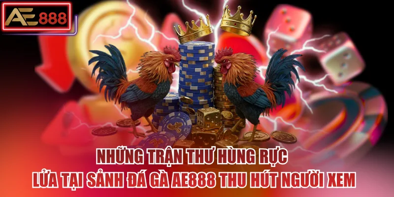 Những trận thư hùng rực lửa tại sảnh đá gà AE888 thu hút người xem